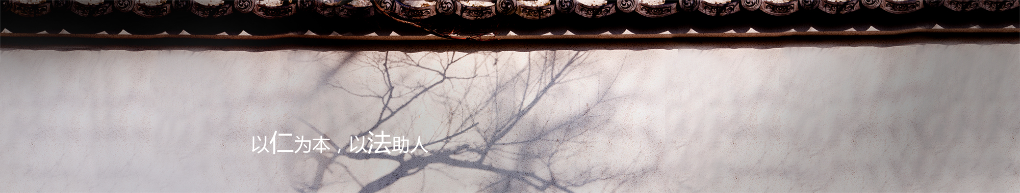 律师名录Banner
