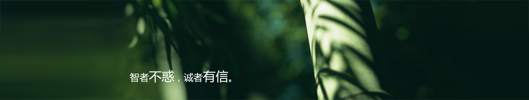 律所动态Banner