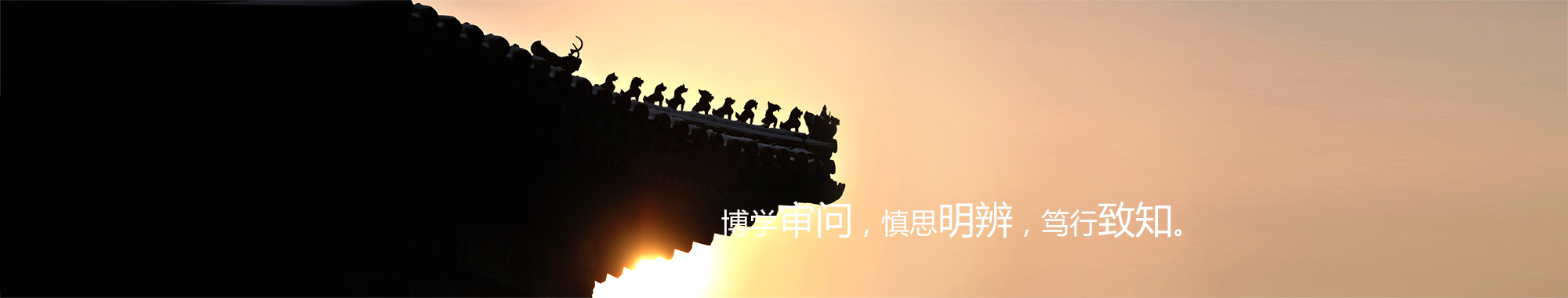 服务领域Banner