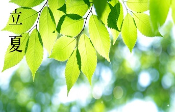 春藏夏来，生生不息
