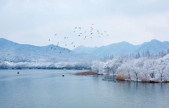 小雪，到头霜夜月