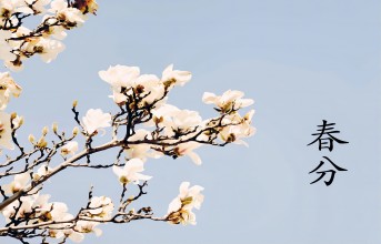 今日春分，唯心即理