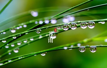 春逢谷雨晴